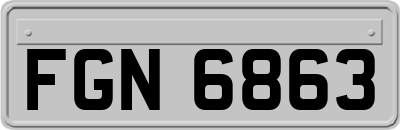FGN6863