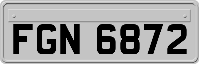 FGN6872