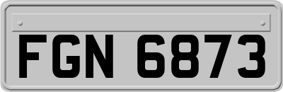 FGN6873