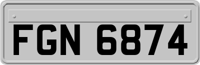 FGN6874