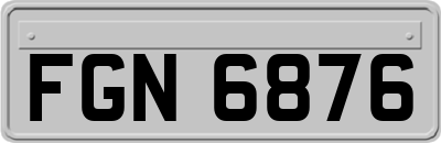 FGN6876