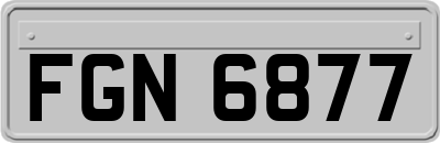 FGN6877
