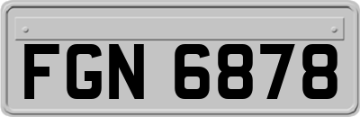 FGN6878