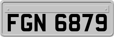 FGN6879