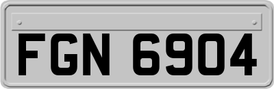 FGN6904