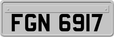 FGN6917