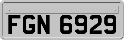FGN6929