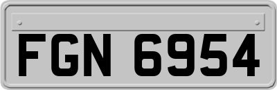 FGN6954