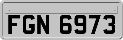 FGN6973