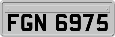 FGN6975