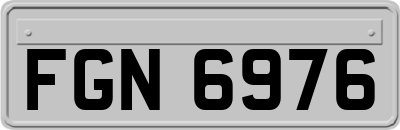 FGN6976