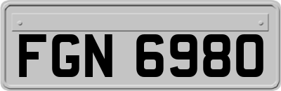 FGN6980
