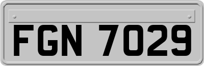 FGN7029