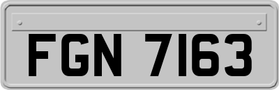 FGN7163