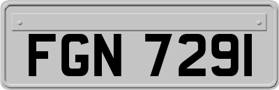 FGN7291