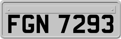 FGN7293