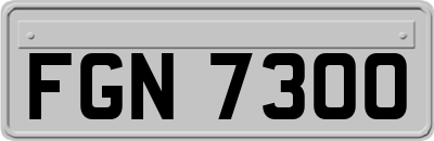 FGN7300