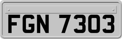 FGN7303