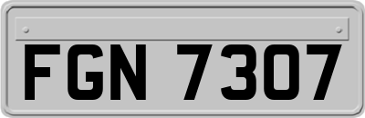 FGN7307
