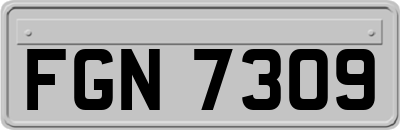 FGN7309