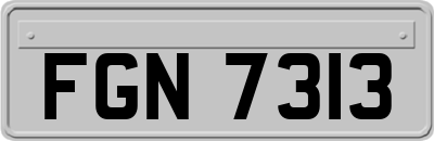 FGN7313