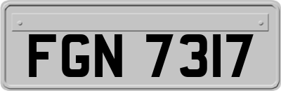 FGN7317