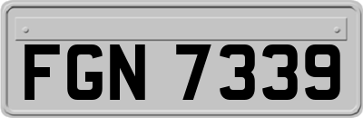 FGN7339