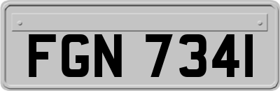 FGN7341
