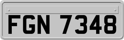 FGN7348