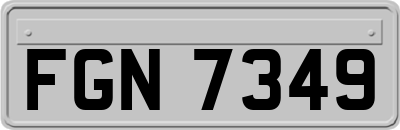 FGN7349