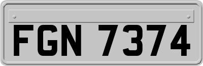 FGN7374