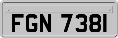 FGN7381