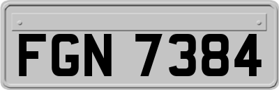 FGN7384