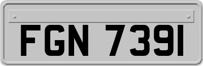 FGN7391