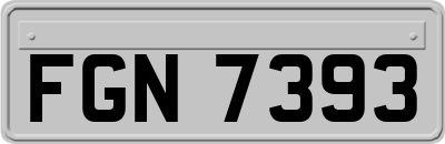FGN7393