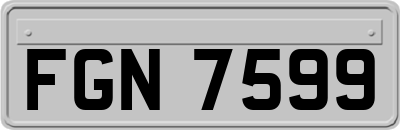 FGN7599