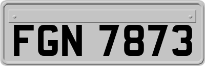 FGN7873