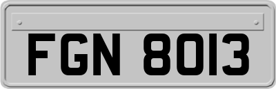 FGN8013