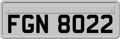 FGN8022