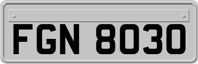 FGN8030