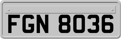 FGN8036