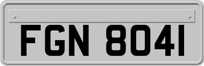 FGN8041