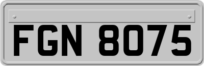 FGN8075