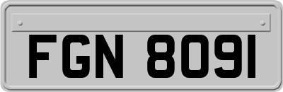 FGN8091