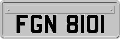 FGN8101