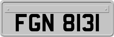 FGN8131