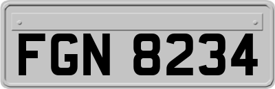 FGN8234