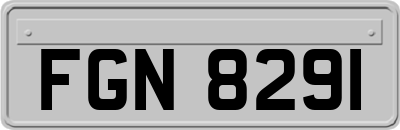 FGN8291