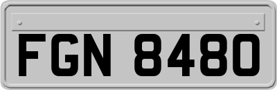 FGN8480