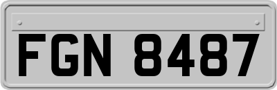 FGN8487